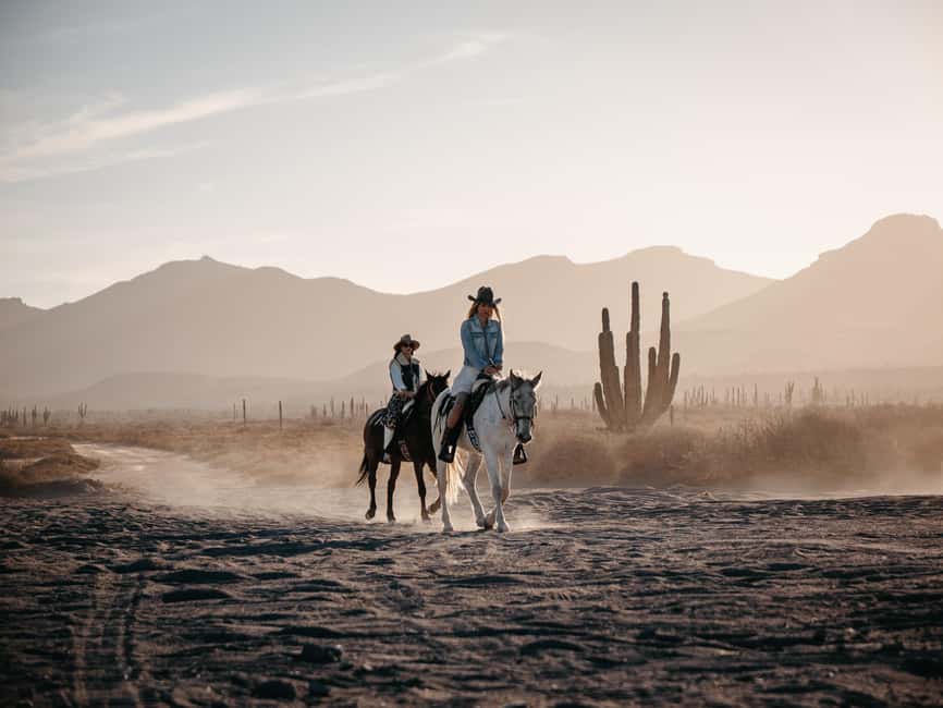 La Paz: Scenic Beach Horseback Ride - Desert trails and ocean views: what the ride actually feels like