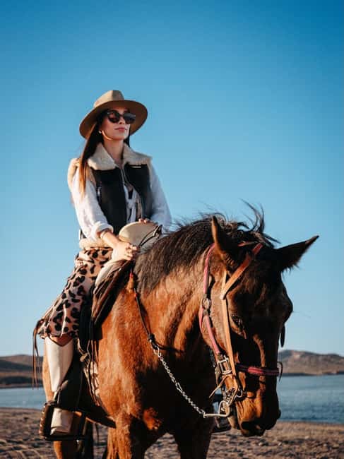 La Paz: Scenic Beach Horseback Ride - Horses, safety, and the bilingual guide factor