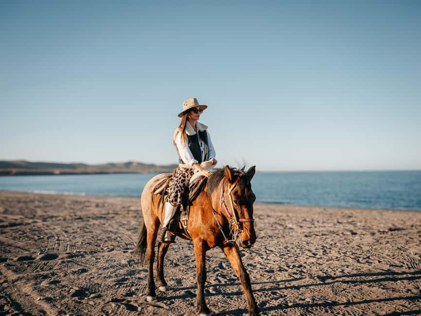 La Paz: Scenic Beach Horseback Ride - Who this horseback ride is best for