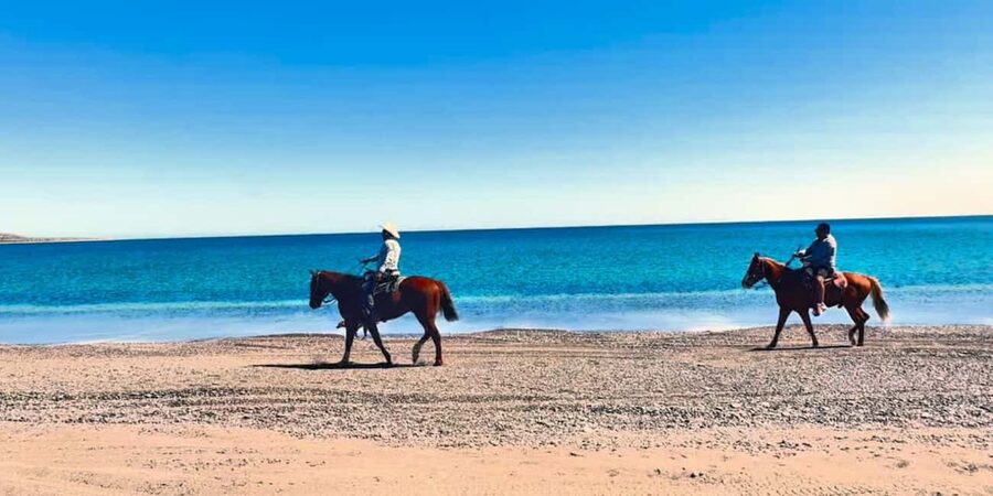 La Paz: Scenic Beach Horseback Ride - Practical tips before you go (so the ride stays fun)