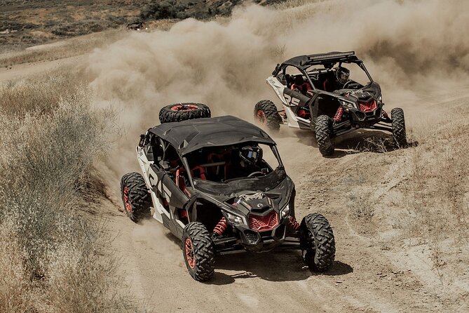 La Paz UTV Off Roading & Sandboarding Desert Adventure - Guides You’ll Remember: Enrique, David, Gerardo, Andrea, and Alejandra