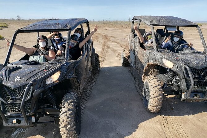 La Paz UTV Off Roading & Sandboarding Desert Adventure - Who Should Book This La Paz UTV and Sandboarding Tour