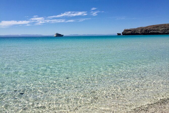 La Paz Whale Shark & Sea Lion Snorkeling + Balandra Tour - Balandra Beach: lunch, beer, and a proper sit-down after the swim