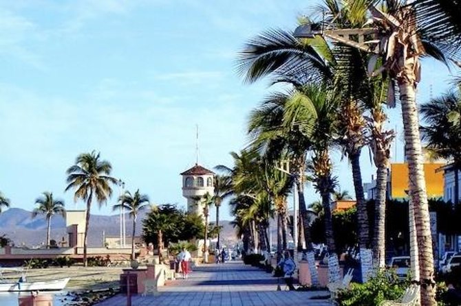 La Paz Whale Shark Snorkeling Tour and Lunch From Los Cabos - Lunch after snorkeling: classic fish tacos hit better than you think