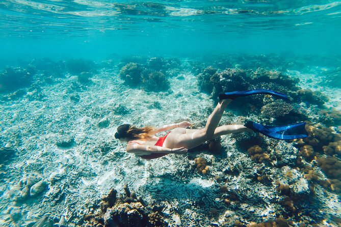 La Paz World Class Snorkeling in Balandras Hidden Beaches - From Cabo to La Paz, you are buying a full-day road trip too