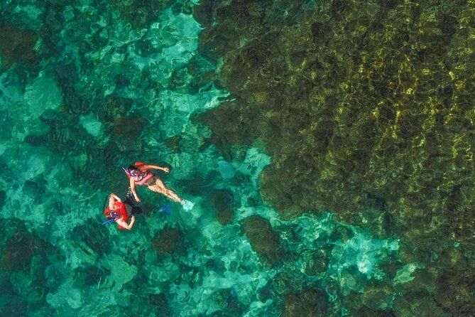 La Paz World Class Snorkeling in Balandras Hidden Beaches - Food, open bar, and the small details that make a long day easier