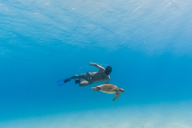 La Paz World Class Snorkeling in Balandras Hidden Beaches - Timing and group size: comfort is good, but plan your patience
