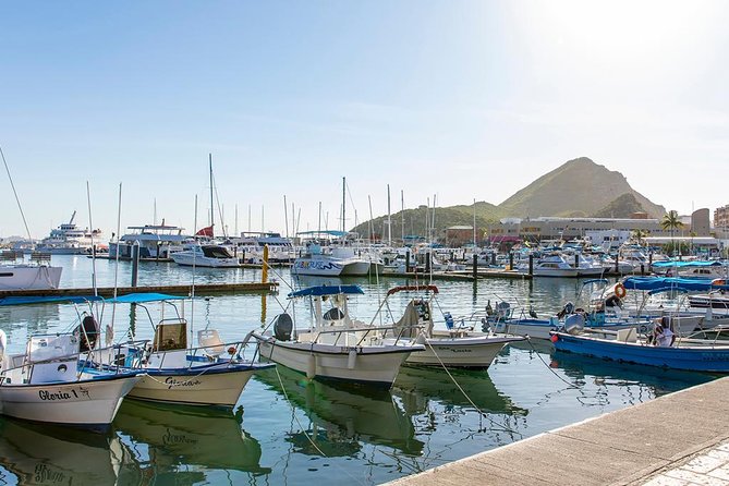 Land’s End Experience – Arch, Beaches & Marine Life - Who This Tour Fits Best (and Who Might Want a Different Option)