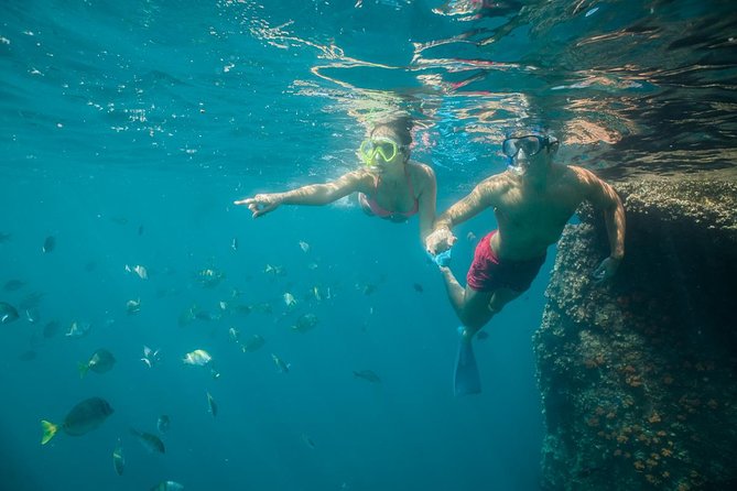 Land's End & Snorkel Tour in a Glass Bottom Boat (VisitA Cabo) - Snorkeling at Pelican’s Rock and Lover’s Beach, what to expect