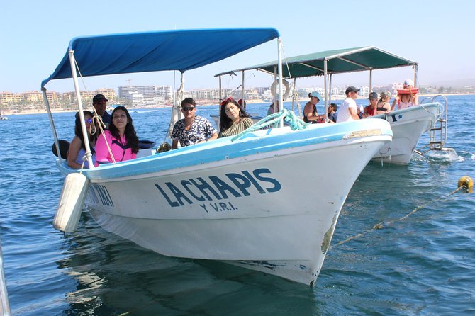 Land's End & Snorkel Tour in a Glass Bottom Boat (VisitA Cabo) - Price and value, plus that $1 dock fee reality