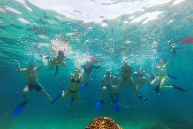 Lands End Luxury Sail and Snorkel Cruise in Cabo San Lucas - Key highlights that make this Cabo cruise worth your time