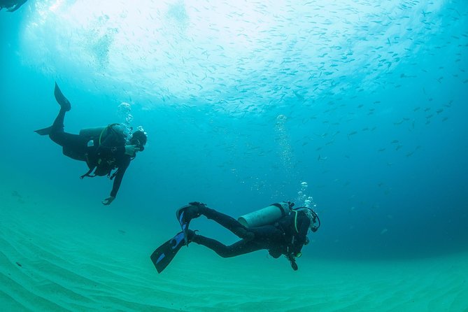 Learn to Scuba Dive in Cabo San Lucas with PADI - What the 30-minute ocean session is like