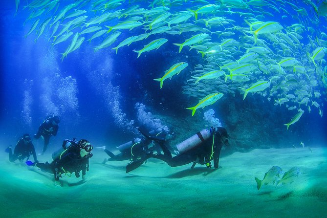 Learn to Scuba Dive in Cabo San Lucas with PADI - Shallow pool practice, your confidence builder