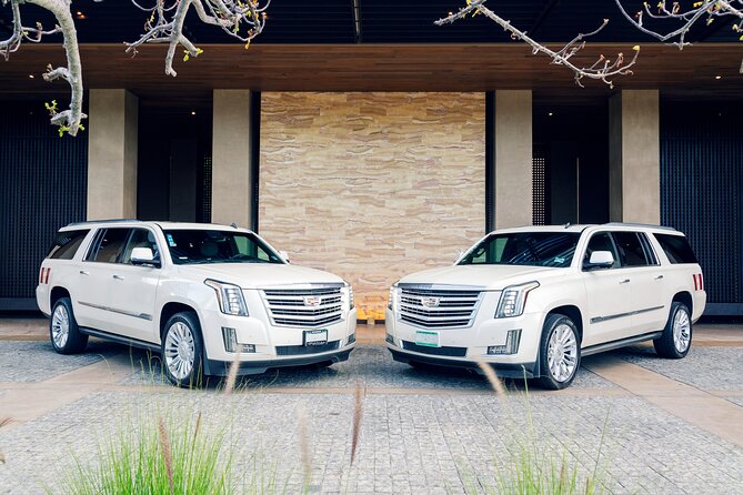 Lincoln Navigator Roundtrip Private Luxury Transportation - A smooth Cabo pickup starts at Meeting Point #10