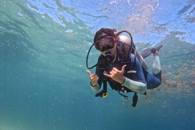 Los Cabos 1 tank dive to Land’s End (Certified Divers) - Key things I’d bet on