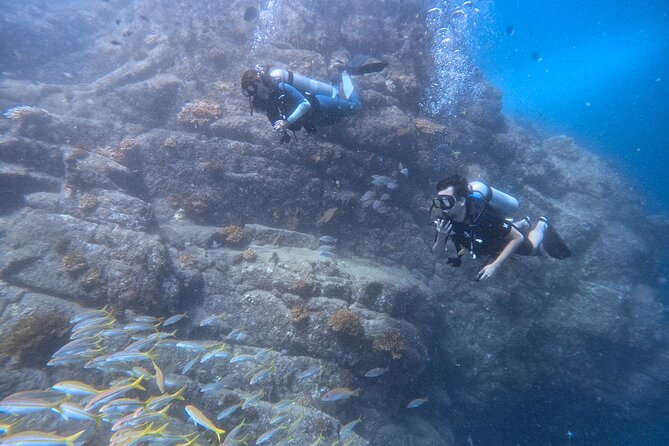 Los Cabos 1 tank dive to Land’s End (Certified Divers) - Your 2.5-hour schedule, and how it fits real vacations