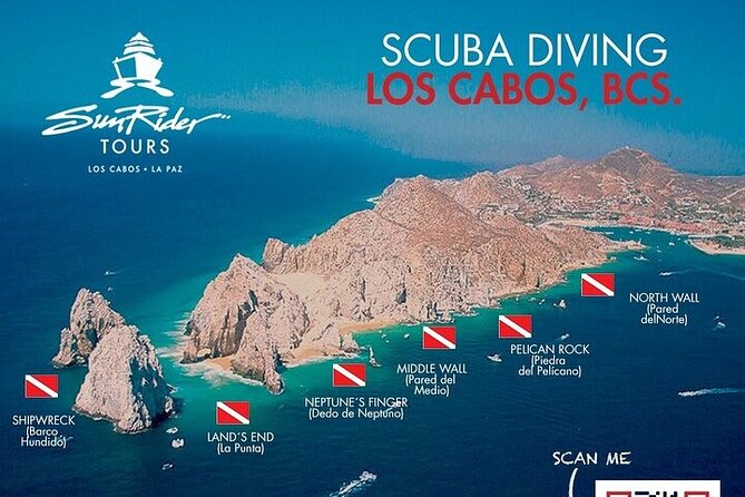 Los Cabos 1 tank dive to Land’s End (Certified Divers) - When you want more than one kind of animal, the other site options help