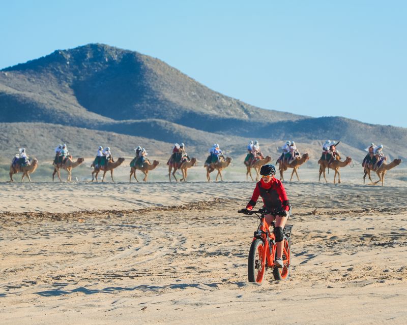 Los Cabos: 2 in 1 Combo Tour - Who should book this combo, and who should not