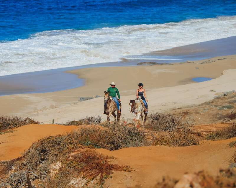 Los Cabos: 2 in 1 Combo Tour - Rules and safety: what you must plan for