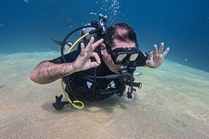 Los Cabos 2 tanks dive to The Corridor (Certified divers) - Key highlights before you go