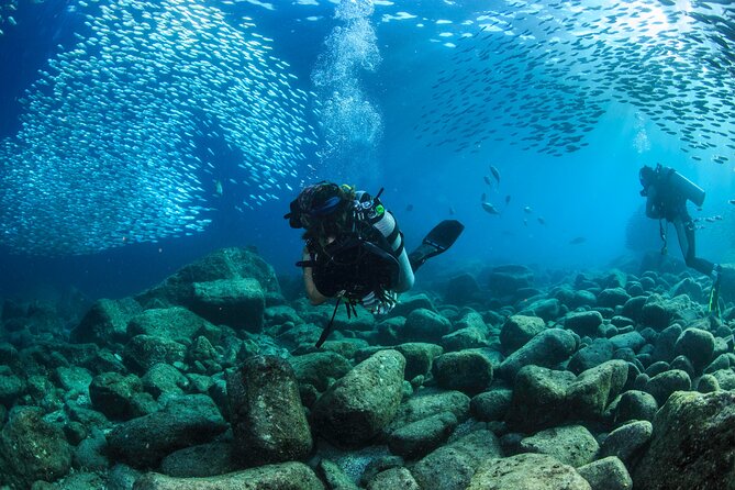 Los Cabos 2 tanks dive to The Corridor (Certified divers) - The human part: what makes the crew feel safe and efficient