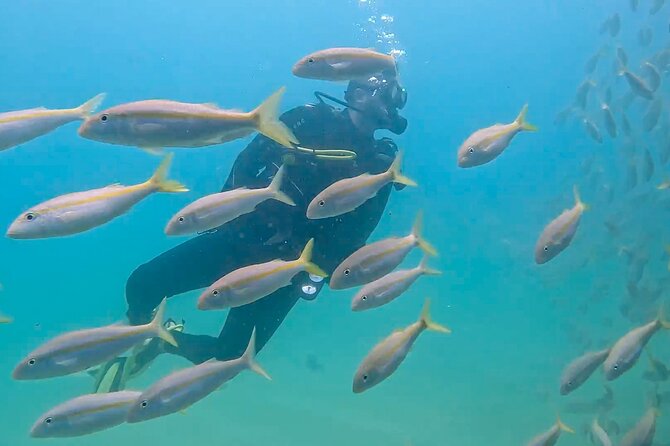 Los Cabos 2 tanks dive to The Corridor (Certified divers) - Before you go: fitness, the 24-hour flight rule, and practical planning