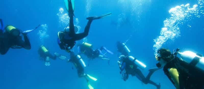 Los Cabos 3-Hour Certified Scuba Diving Tour - Shipwrecks, caves, reefs, and sand falls: what it means underwater