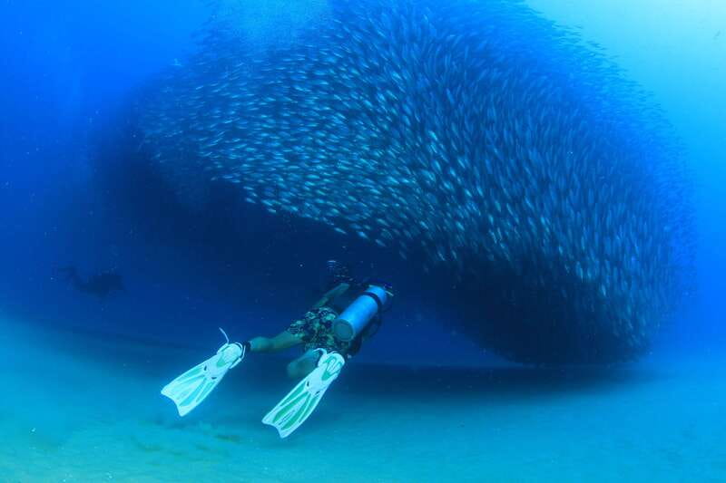 Los Cabos 3-Hour Certified Scuba Diving Tour - Boat and crew: the clean, organized experience you want