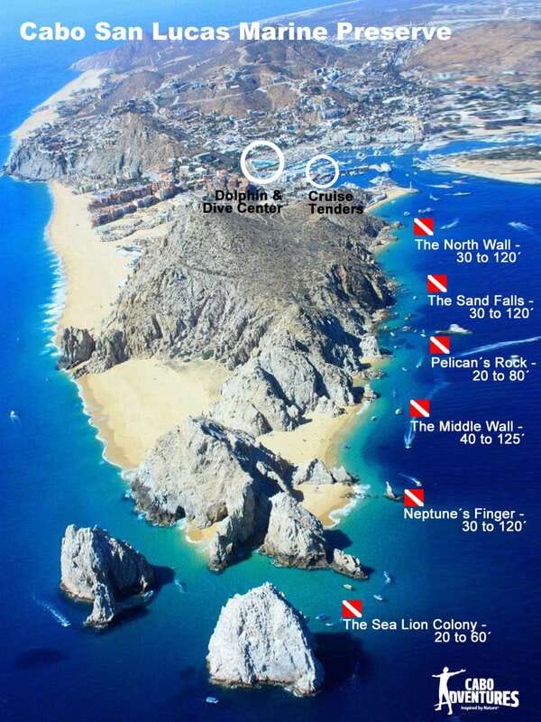 Los Cabos 3-Hour Certified Scuba Diving Tour - When conditions are best: visibility and water temperature