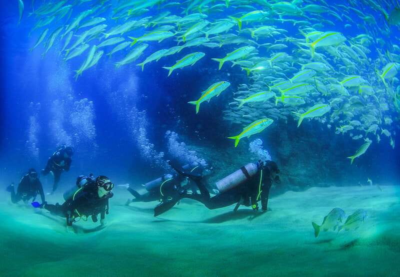 Los Cabos: 3-Hour Introductory Scuba Diving Adventure - Key highlights worth your attention