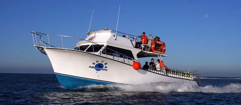 Los Cabos: 3-Hour Introductory Scuba Diving Adventure - Your 30-minute orientation, then shallow-water confidence work