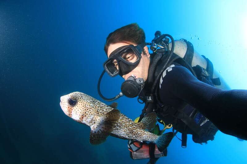 Los Cabos: 3-Hour Introductory Scuba Diving Adventure - Boat cruise time, sightseeing, and a safety briefing that matters