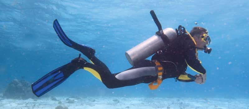 Los Cabos: 3-Hour Introductory Scuba Diving Adventure - Sea of Cortez conditions: visibility, temperature, and when it’s calm