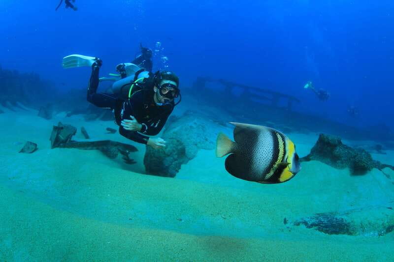 Los Cabos: 3-Hour Introductory Scuba Diving Adventure - What to bring, and what the rules mean for your comfort