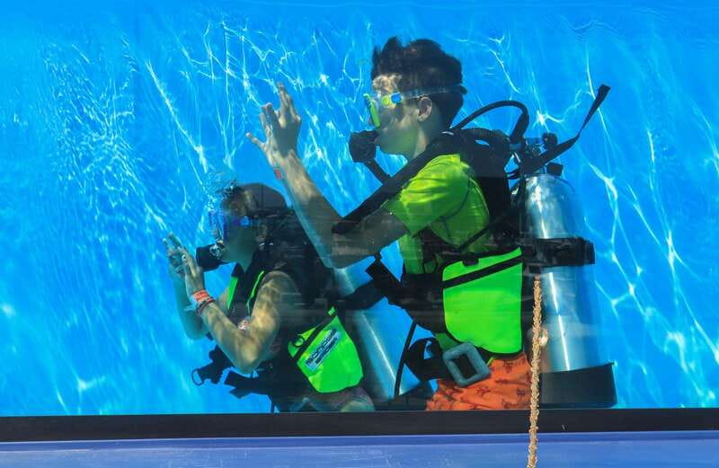 Los Cabos: 3-Hour Introductory Scuba Diving Adventure - Who this is best for, and who should skip it