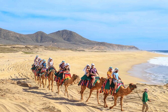 Los Cabos 3 in 1 Adventure: Camel Ride, Lunch and Arch Boat Tour - Key Highlights You Should Know Before You Go