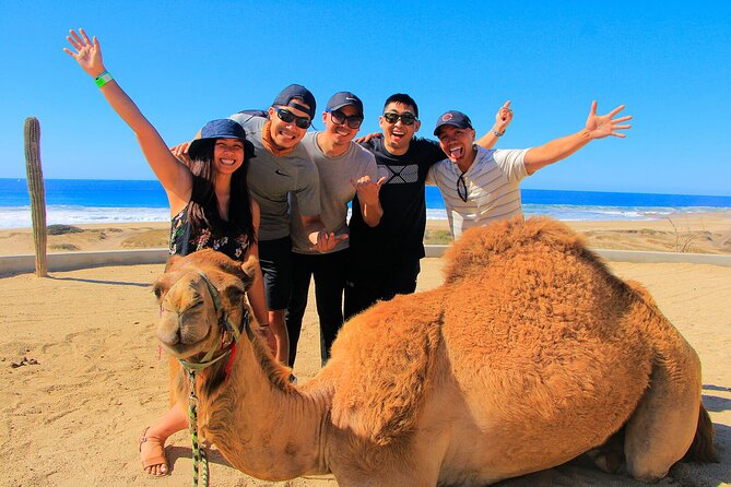 Los Cabos 3 in 1 Adventure: Camel Ride, Lunch and Arch Boat Tour - A smart 3-in-1 plan for Cabo time (and sanity)