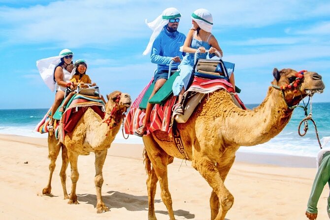 Los Cabos 3 in 1 Adventure: Camel Ride, Lunch and Arch Boat Tour - Lunch at the buffet: what you get and how to get the best from it