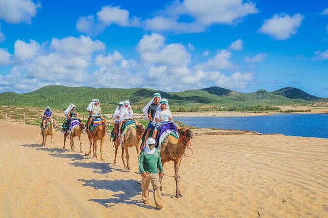Los Cabos 3 in 1 Adventure: Camel Ride, Lunch and Arch Boat Tour - The clear-boat Arch tour: seeing El Arco up close