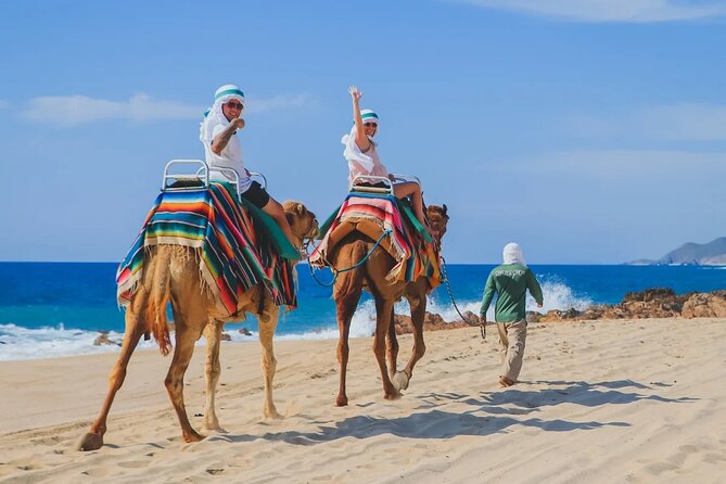 Los Cabos 3 in 1 Adventure: Camel Ride, Lunch and Arch Boat Tour - Group size, kids rules, and physical limits