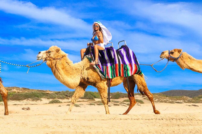 Los Cabos 3 in 1 Adventure: Camel Ride, Lunch and Arch Boat Tour - Who this tour fits best (and who should pick something else)