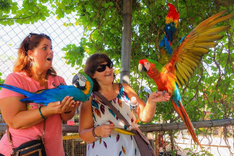 Los Cabos: Animal Encounter & Aqua Park Adventure - Key things to know before you go