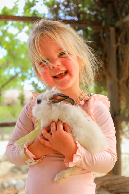 Los Cabos: Animal Encounter & Aqua Park Adventure - The guided wildlife viewing: safety briefing first, then hands-on stations