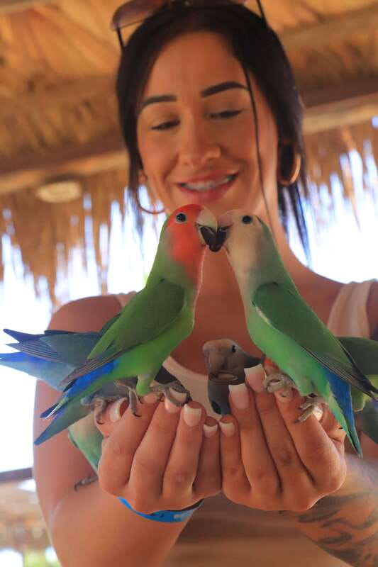 Los Cabos: Animal Encounter & Aqua Park Adventure - The bridge, walking, and swimming: where the day becomes more active