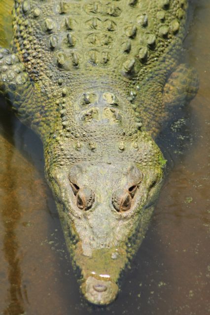 Los Cabos: Animal Encounter & Aqua Park Adventure - Price and logistics: getting to the real total before you book