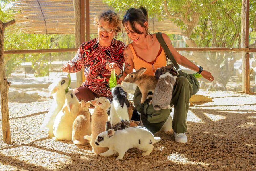 Los Cabos: Animal Encounter & Aqua Park Adventure - What to bring, what not to bring, and how to avoid common headaches
