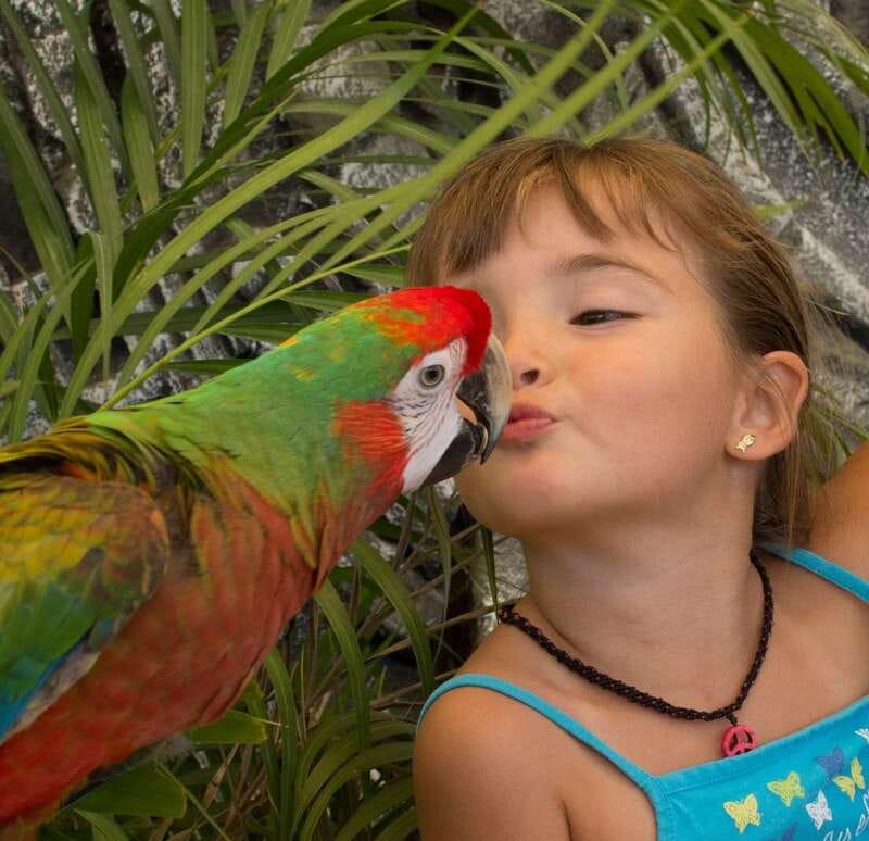 Los Cabos: Animal Encounter & Aqua Park Adventure - Who this experience is best for, and who should reconsider