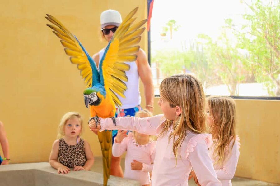 Los Cabos: Animal Encounter & Aqua Park Adventure - Should you book this tour?