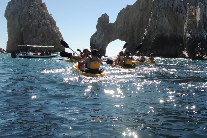 Los Cabos Arch and Playa del Amor Tour by Glass Bottom Kayak - What You’ll See Beyond the Main Stops