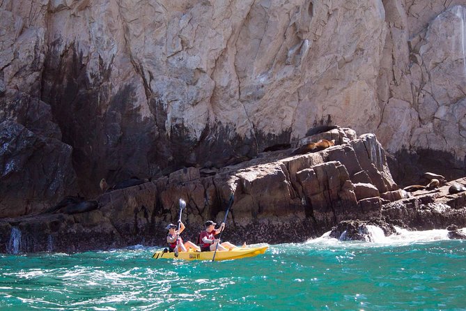 Los Cabos Arch and Playa del Amor Tour by Glass Bottom Kayak - Price and Value: What $95 Gets You in Cabo